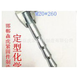 M20定型化學錨栓供應(yīng)廠家 想買價位合理的M20定型化學錨栓，就來森虎緊固件