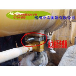 直視式電子吊秤：彩屏裝載機電子秤