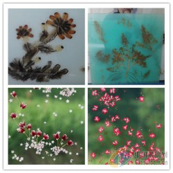 調光玻璃夾膠爐 調光玻璃夾膠爐價格   玻璃夾膠爐廠家