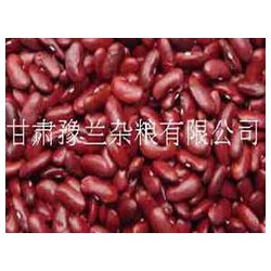 白銀黃豆 價(jià)格合理的雜糧批發(fā)【甘肅】