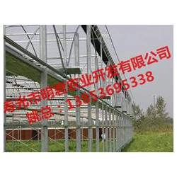【誠薦】智能溫室大棚建設訊息，溫室大棚搭建報價