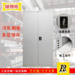 揚(yáng)州重型置物柜雙開(kāi)門(mén)可調(diào)節(jié)空間儲(chǔ)物柜工具量具柜