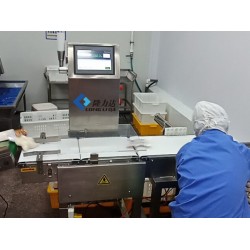 檢重秤 重量自動分檢機(jī) 稱重剔除機(jī) 青島隆力達(dá)