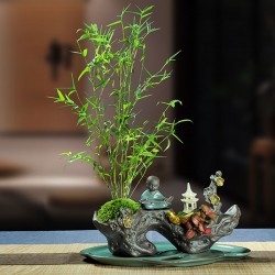 武漢辦公室盆栽室內盆景公司花卉，武漢室外苗木商場綠植工廠盆栽