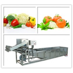 供應(yīng)玉米清洗機(jī) 蔬菜清洗機(jī) 整套凈菜加工流水線(xiàn)設(shè)備