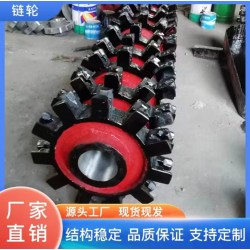 焊接穩固 按需定制 精鑄鋼提升機上下鏈輪